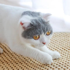 Large Nest Pad Wear-Resistant Scratch-Resistant Anti-Scratch Sofa To Protect Cat Toys null