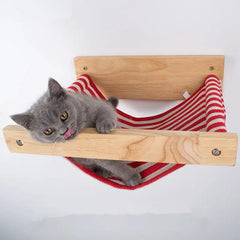 Cat hammock on the wall null