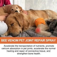 Pet Joint Repair Spray Care Relieve Pet Joint Discomfort Muscle Weakness null