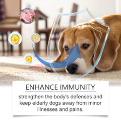 Care Older Dog Calcium Tablets Supplement Nutrition Pet Nutrition null