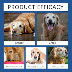 Care Older Dog Calcium Tablets Supplement Nutrition Pet Nutrition null