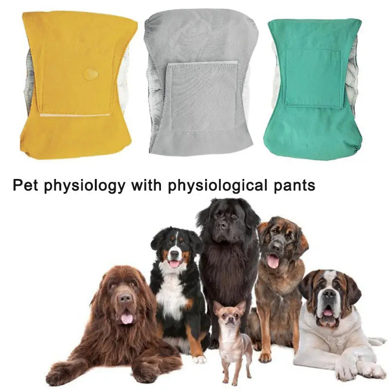 Male Dog Special Waterproof Belt Absorbent Diaper null