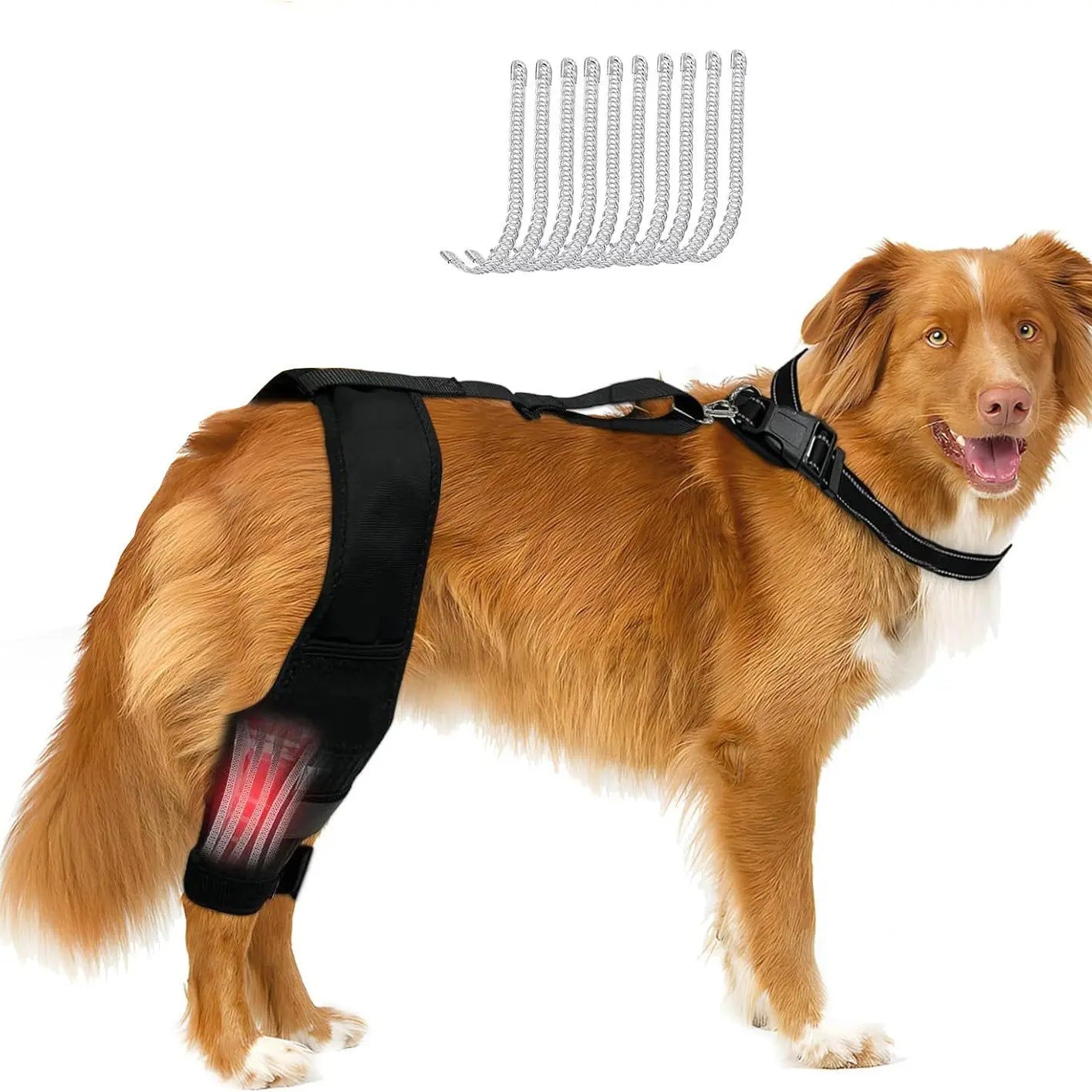Leg Protector For Dogs Knee Brace Auxiliary Belt Joint Protection Pet Supplies Great Deal null