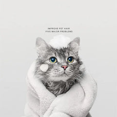 Cat Bath Lotion Pet Shampoo null