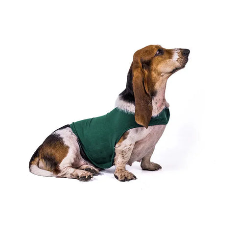 Anxiety Jacket Vest Summer Medical Treatment To Calm Down Cat Clothes Dog Comfort Clothes null