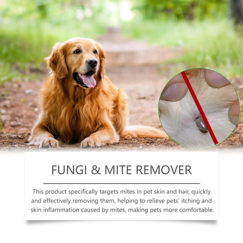 Pet Anti-mite Cream For Health Care null