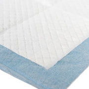 Puppy Diapers Dog Toilet Deodorizing Pet Supplies null