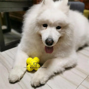 The Mellow Dog Calming Ball Mellow Dog Tennis Ball, Mellow Dog Emotional Support Ball null
