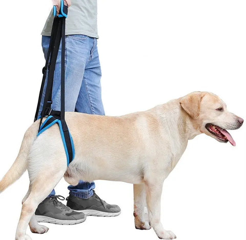 Pet Leg Strap Walking Support Dog Leg Support null