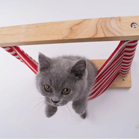 Cat hammock on the wall null