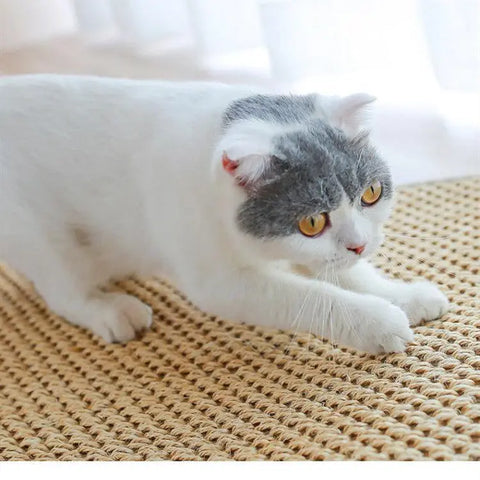 Large Nest Pad Wear-Resistant Scratch-Resistant Anti-Scratch Sofa To Protect Cat Toys null