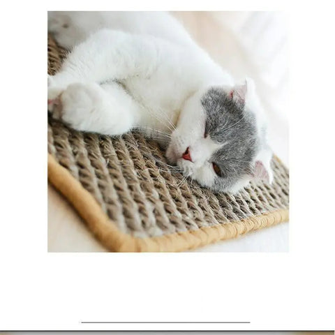 Large Nest Pad Wear-Resistant Scratch-Resistant Anti-Scratch Sofa To Protect Cat Toys null