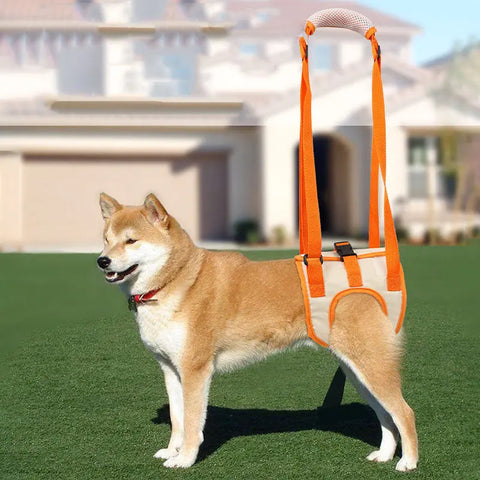 Adjustable Dog Lift Auxiliary Harness Hind Legs Pet Support Brace Sling Help Weak Legs Stand Up Senior Dogs Aid Assist Tool null