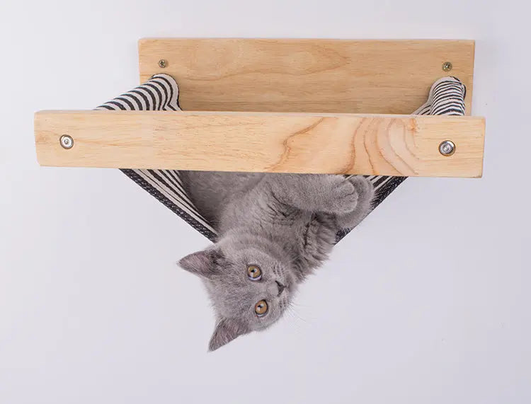 Cat hammock on the wall null