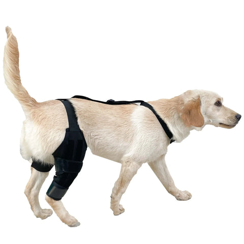 Leg Protector For Dogs Knee Brace Auxiliary Belt Joint Protection Pet Supplies Great Deal null