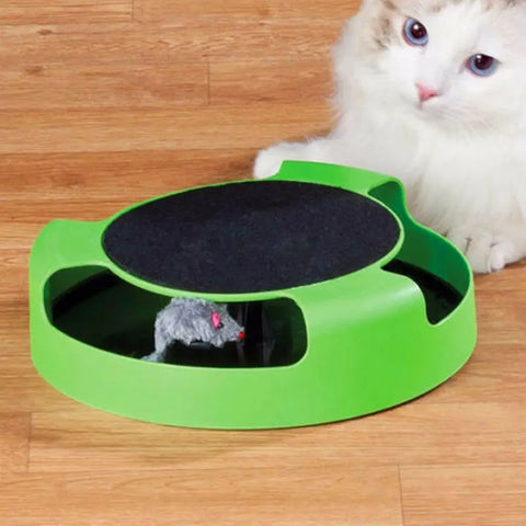 Cat Catch null