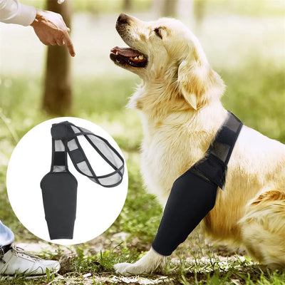 Dog Leg Injury Support Knee Pad null