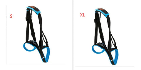 Pet Leg Strap Walking Support Dog Leg Support null