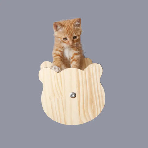 Cat climbing frame solid wood null