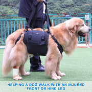 Outdoors Convenient Leg Support Rehabilitation Dog Breast Strap null