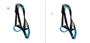 Pet Leg Strap Walking Support Dog Leg Support null