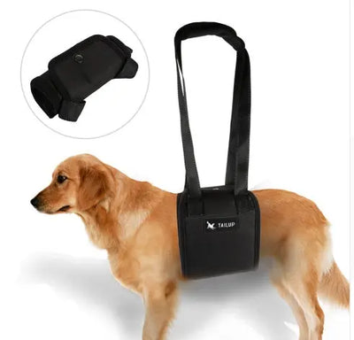 Dog Lift Support null