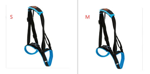 Pet Leg Strap Walking Support Dog Leg Support null