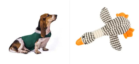 Anxiety Jacket Vest Summer Medical Treatment To Calm Down Cat Clothes Dog Comfort Clothes null