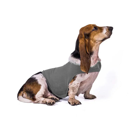 Pet dog anxiety comfort clothing null