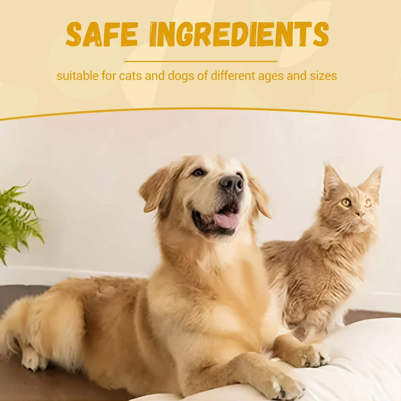 Pet Nutritional Supplements Enhance Energy Vitality null