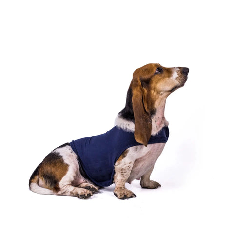 Pet dog anxiety comfort clothing null