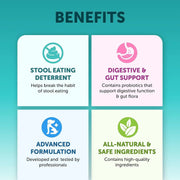 Pet Intestinal Probiotic Chewable Tablets null