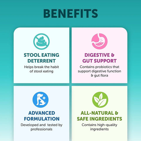Pet Intestinal Probiotic Chewable Tablets null