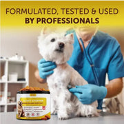 Scoot Stopper Soft Chews Fiber For Dogs Dog Anal Gland And Digestion Support Anal Gland Chews With Pumpkin And Psyllium Husk 180 Chewables For Dog Digestive Health null
