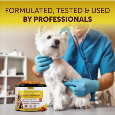 Scoot Stopper Soft Chews Fiber For Dogs Dog Anal Gland And Digestion Support Anal Gland Chews With Pumpkin And Psyllium Husk 180 Chewables For Dog Digestive Health null