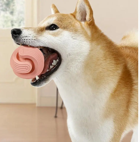 Rubber Dog Molars Teeth Relief Bouncy Ball null