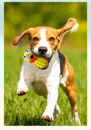 Fashionable Pet Stress Relief Educational Toy Vinyl null