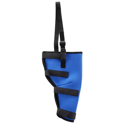 Postoperative Walking Aids For Dogs null