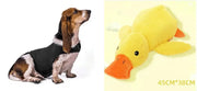 Anxiety Jacket Vest Summer Medical Treatment To Calm Down Cat Clothes Dog Comfort Clothes null