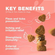 Dog Flea And Tick Treatment Chews - Natural Flea & Tick Control null
