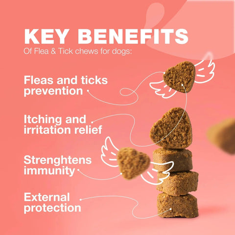 Dog Flea And Tick Treatment Chews - Natural Flea & Tick Control null