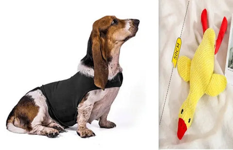 Anxiety Jacket Vest Summer Medical Treatment To Calm Down Cat Clothes Dog Comfort Clothes null
