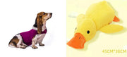 Anxiety Jacket Vest Summer Medical Treatment To Calm Down Cat Clothes Dog Comfort Clothes null