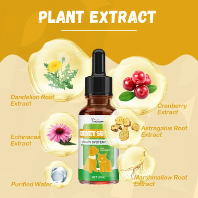 Pet Nutritional Supplements Enhance Energy Vitality null