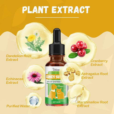 Pet Nutritional Supplements Enhance Energy Vitality null