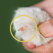 Nail Clippers For Pet Cats null