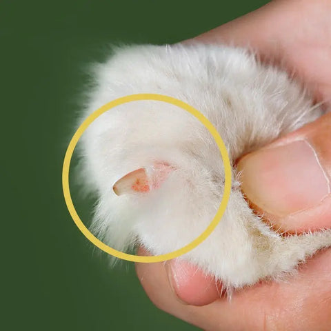 Nail Clippers For Pet Cats null