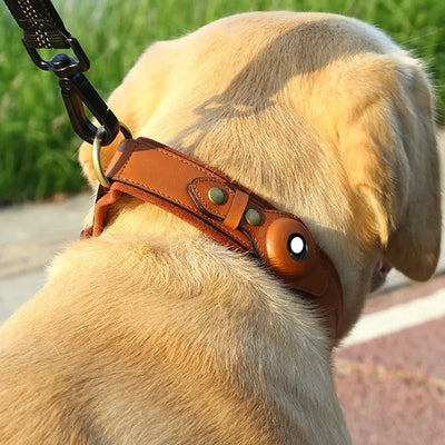 Location Tracker First Layer Leather Dog Pet Collar null