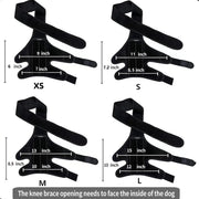 Pet Protective Gear Dog Leg Injury Assistance Support Bar Rehabilitation Training Belt null
