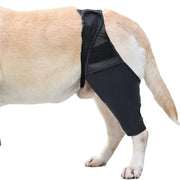 Dog Leg Injury Support Knee Pad null